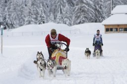2008_Spluegen