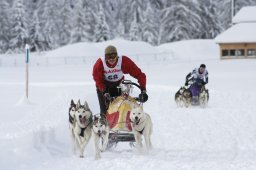 2008_Spluegen