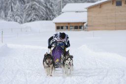2008_Spluegen