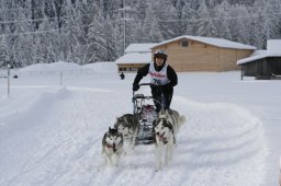 2008_Spluegen
