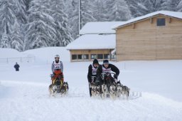2008_Spluegen