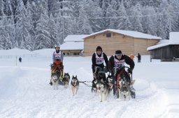 2008_Spluegen