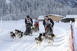 2008_Spluegen