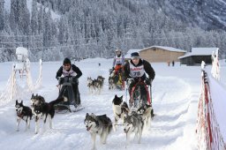 2008_Spluegen