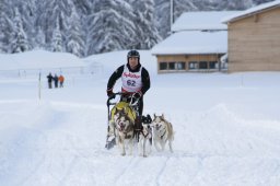 2008_Spluegen
