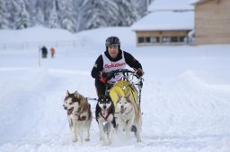 2008_Spluegen