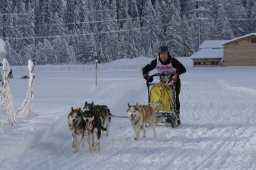2008_Spluegen