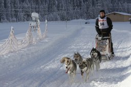 2008_Spluegen