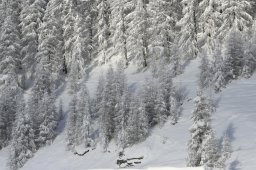 2008_Spluegen