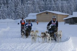 2008_Spluegen