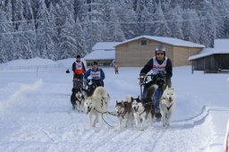 2008_Spluegen