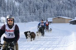 2008_Spluegen