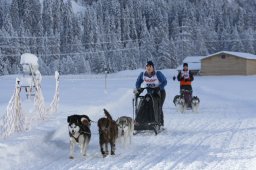 2008_Spluegen