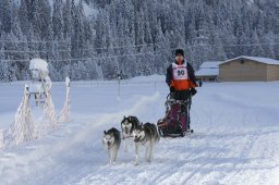 2008_Spluegen