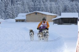 2008_Spluegen
