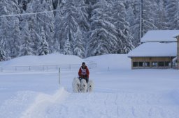 2008_Spluegen