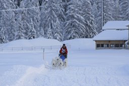 2008_Spluegen