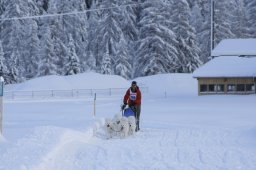 2008_Spluegen