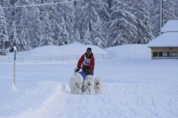2008_Spluegen