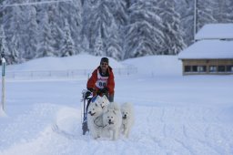 2008_Spluegen