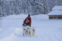 2008_Spluegen