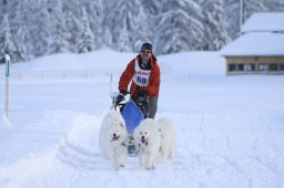 2008_Spluegen