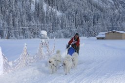 2008_Spluegen