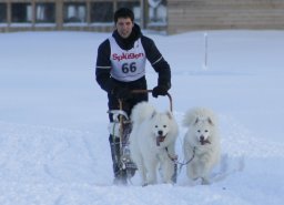 2008_Spluegen