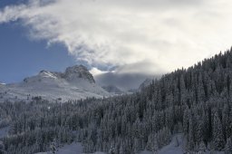 2008_Spluegen