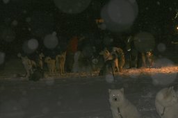 2008_Spluegen