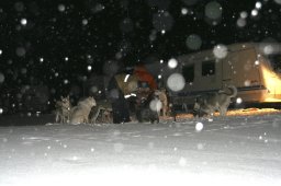 2008_Spluegen