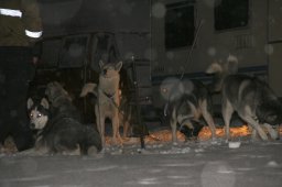 2008_Spluegen