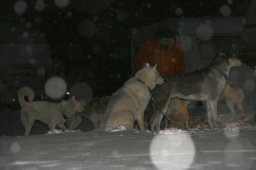 2008_Spluegen