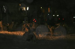 2008_Spluegen