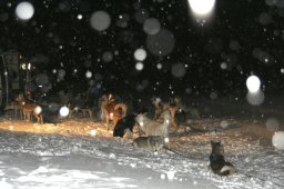 2008_Spluegen