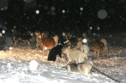 2008_Spluegen