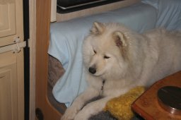 2008_Spluegen