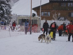 2008_Studen