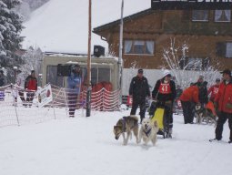 2008_Studen