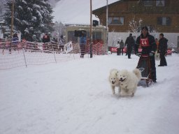 2008_Studen