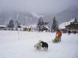 2008_Studen