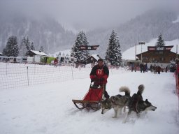 2008_Studen