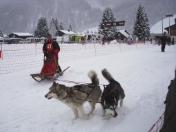 2008_Studen
