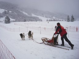 2008_Studen