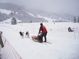 2008_Studen