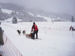 2008_Studen
