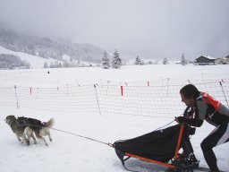 2008_Studen