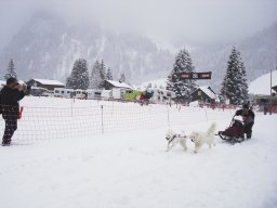 2008_Studen