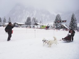 2008_Studen