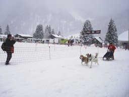 2008_Studen